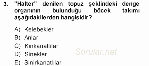 Entomoloji 2013 - 2014 Tek Ders Sınavı 3.Soru