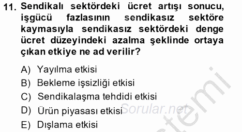 Çalışma Ekonomisi 2 2013 - 2014 Ara Sınavı 11.Soru