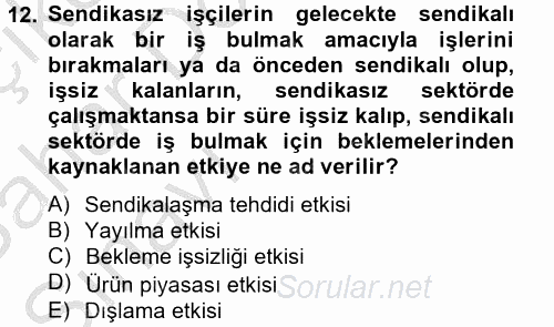 Çalışma Ekonomisi 2 2013 - 2014 Ara Sınavı 12.Soru