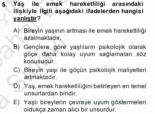 Çalışma Ekonomisi 2 2013 - 2014 Ara Sınavı 5.Soru