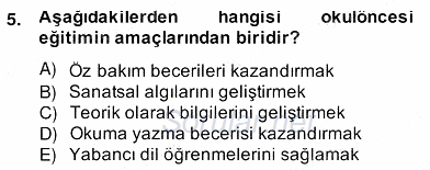 Görsel Sanatlar Eğitimi 2013 - 2014 Ara Sınavı 5.Soru