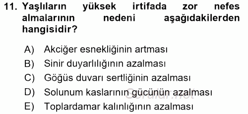 Aile Sağlığı 2017 - 2018 3 Ders Sınavı 11.Soru