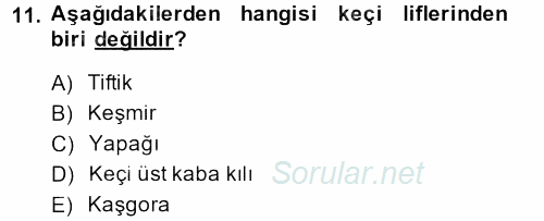 Hayvan Yetiştirme 2014 - 2015 Dönem Sonu Sınavı 11.Soru