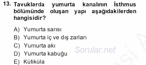 Hayvan Yetiştirme 2014 - 2015 Dönem Sonu Sınavı 13.Soru