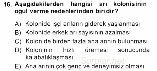 Hayvan Yetiştirme 2014 - 2015 Dönem Sonu Sınavı 16.Soru