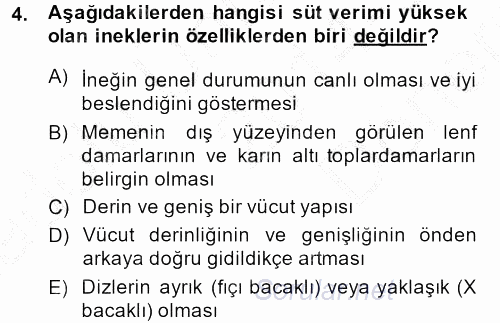 Hayvan Yetiştirme 2014 - 2015 Dönem Sonu Sınavı 4.Soru