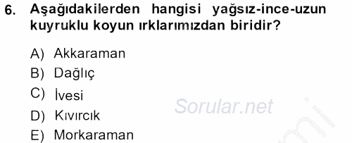 Hayvan Yetiştirme 2014 - 2015 Dönem Sonu Sınavı 6.Soru