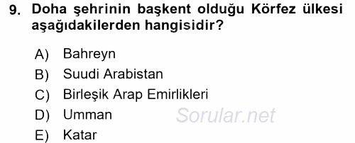 Orta Doğuda Siyaset 2015 - 2016 Ara Sınavı 9.Soru