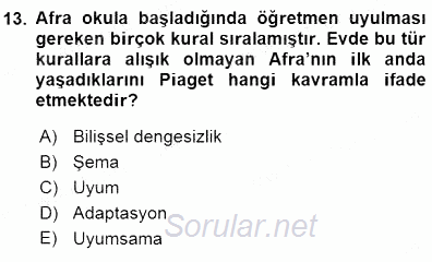 Erken Çocukluk Döneminde Gelişim 1 2015 - 2016 Dönem Sonu Sınavı 13.Soru