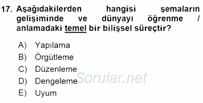Erken Çocukluk Döneminde Gelişim 1 2015 - 2016 Dönem Sonu Sınavı 17.Soru