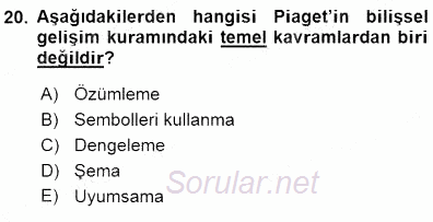Erken Çocukluk Döneminde Gelişim 1 2015 - 2016 Dönem Sonu Sınavı 20.Soru
