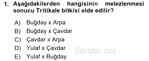 Tarla Bitkileri 1 2015 - 2016 Dönem Sonu Sınavı 1.Soru