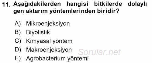 Tarla Bitkileri 1 2015 - 2016 Dönem Sonu Sınavı 11.Soru