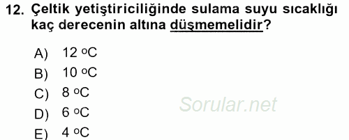 Tarla Bitkileri 1 2015 - 2016 Dönem Sonu Sınavı 12.Soru