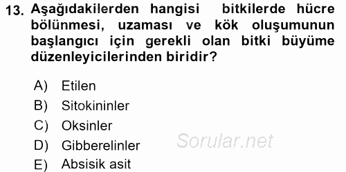 Tarla Bitkileri 1 2015 - 2016 Dönem Sonu Sınavı 13.Soru