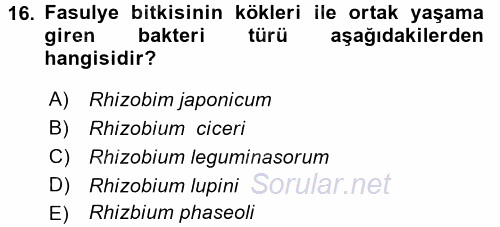 Tarla Bitkileri 1 2015 - 2016 Dönem Sonu Sınavı 16.Soru