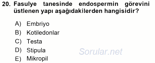 Tarla Bitkileri 1 2015 - 2016 Dönem Sonu Sınavı 20.Soru