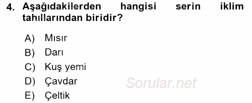 Tarla Bitkileri 1 2015 - 2016 Dönem Sonu Sınavı 4.Soru