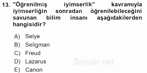 Davranış Bilimleri 2 2017 - 2018 Dönem Sonu Sınavı 13.Soru