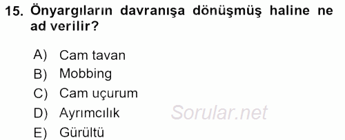 Davranış Bilimleri 2 2017 - 2018 Dönem Sonu Sınavı 15.Soru