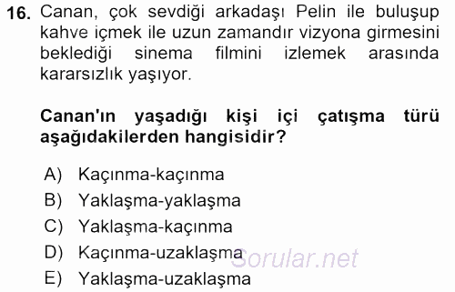 Davranış Bilimleri 2 2017 - 2018 Dönem Sonu Sınavı 16.Soru