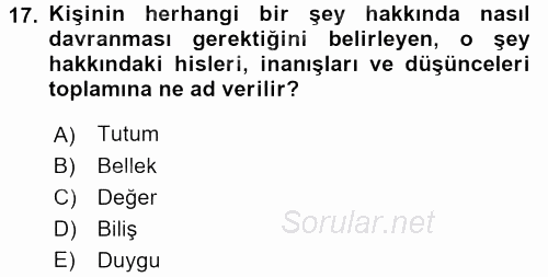Davranış Bilimleri 2 2017 - 2018 Dönem Sonu Sınavı 17.Soru