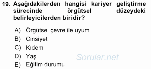 Performans ve Kariyer Yönetimi 2016 - 2017 Ara Sınavı 19.Soru