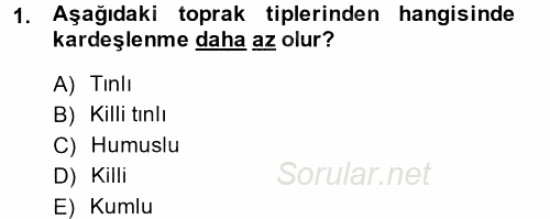 Tarla Bitkileri 1 2014 - 2015 Tek Ders Sınavı 1.Soru