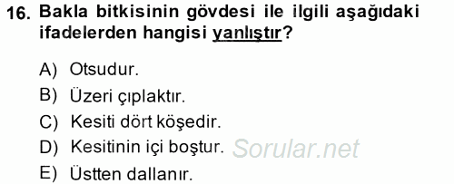 Tarla Bitkileri 1 2014 - 2015 Tek Ders Sınavı 16.Soru