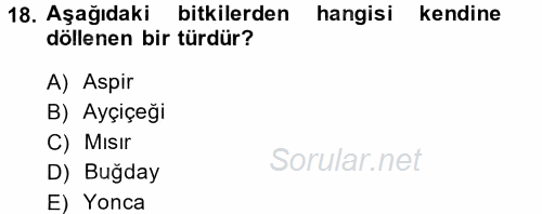 Tarla Bitkileri 1 2014 - 2015 Tek Ders Sınavı 18.Soru