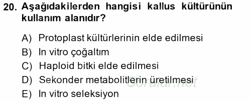 Tarla Bitkileri 1 2014 - 2015 Tek Ders Sınavı 20.Soru