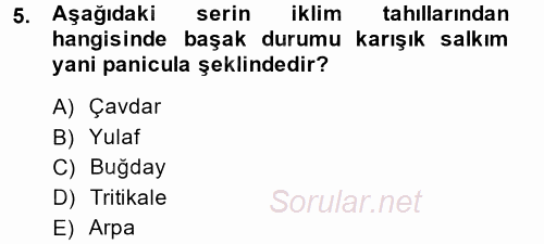 Tarla Bitkileri 1 2014 - 2015 Tek Ders Sınavı 5.Soru