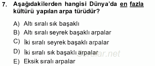 Tarla Bitkileri 1 2014 - 2015 Tek Ders Sınavı 7.Soru