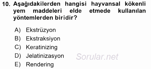 Temel Yem Bilgisi ve Hayvan Besleme 2017 - 2018 Ara Sınavı 10.Soru