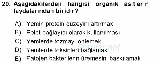 Temel Yem Bilgisi ve Hayvan Besleme 2017 - 2018 Ara Sınavı 20.Soru