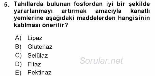 Temel Yem Bilgisi ve Hayvan Besleme 2017 - 2018 Ara Sınavı 5.Soru