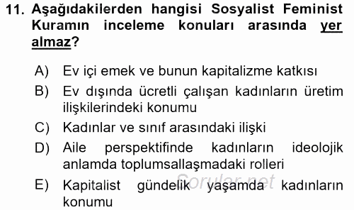 Çalışma Sosyolojisi 2017 - 2018 Dönem Sonu Sınavı 11.Soru
