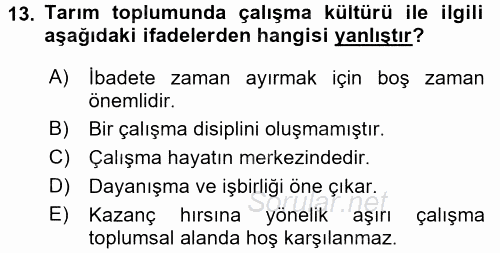 Çalışma Sosyolojisi 2017 - 2018 Dönem Sonu Sınavı 13.Soru