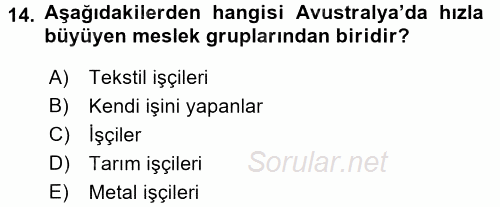Çalışma Sosyolojisi 2017 - 2018 Dönem Sonu Sınavı 14.Soru