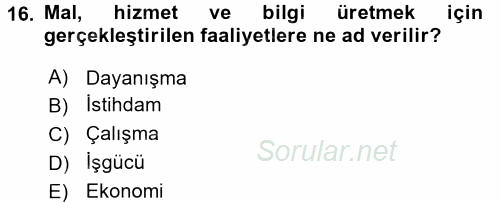Çalışma Sosyolojisi 2017 - 2018 Dönem Sonu Sınavı 16.Soru