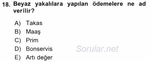 Çalışma Sosyolojisi 2017 - 2018 Dönem Sonu Sınavı 18.Soru