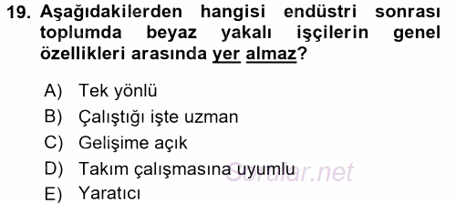 Çalışma Sosyolojisi 2017 - 2018 Dönem Sonu Sınavı 19.Soru