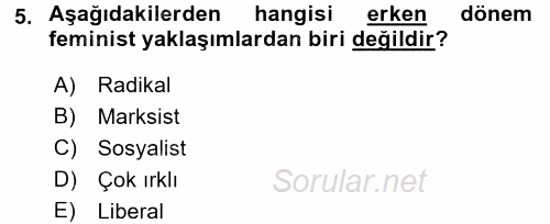 Çalışma Sosyolojisi 2017 - 2018 Dönem Sonu Sınavı 5.Soru