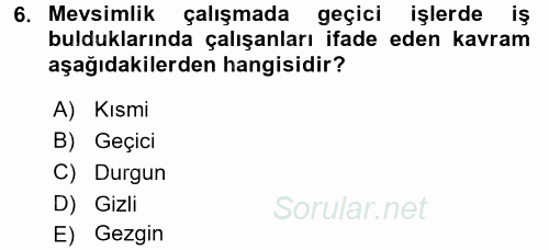 Çalışma Sosyolojisi 2017 - 2018 Dönem Sonu Sınavı 6.Soru