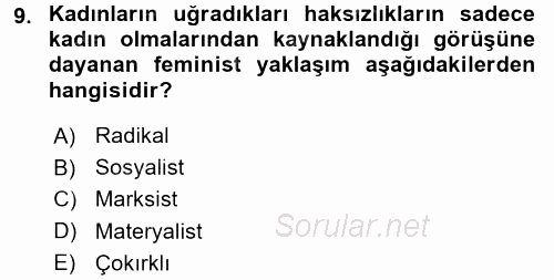 Çalışma Sosyolojisi 2017 - 2018 Dönem Sonu Sınavı 9.Soru