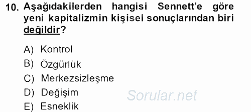 Sosyolojide Yakın Dönem Gelişmeler 2013 - 2014 Dönem Sonu Sınavı 10.Soru
