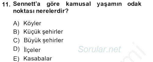 Sosyolojide Yakın Dönem Gelişmeler 2013 - 2014 Dönem Sonu Sınavı 11.Soru