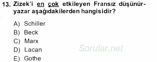 Sosyolojide Yakın Dönem Gelişmeler 2013 - 2014 Dönem Sonu Sınavı 13.Soru