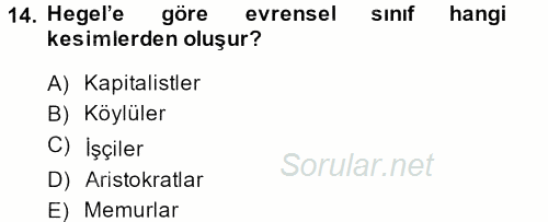 Sosyolojide Yakın Dönem Gelişmeler 2013 - 2014 Dönem Sonu Sınavı 14.Soru