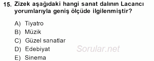 Sosyolojide Yakın Dönem Gelişmeler 2013 - 2014 Dönem Sonu Sınavı 15.Soru